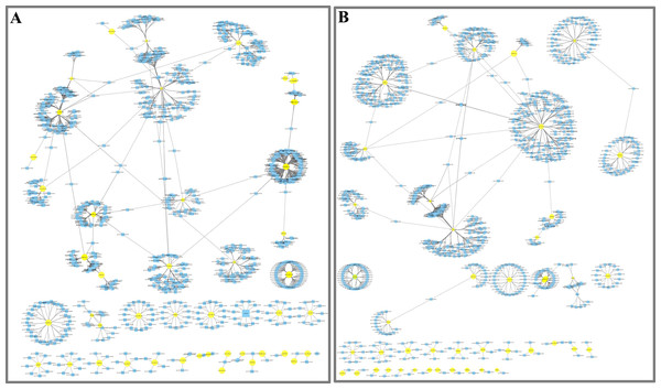 Network analysis between miRNAs and far-red light–responsive targets.