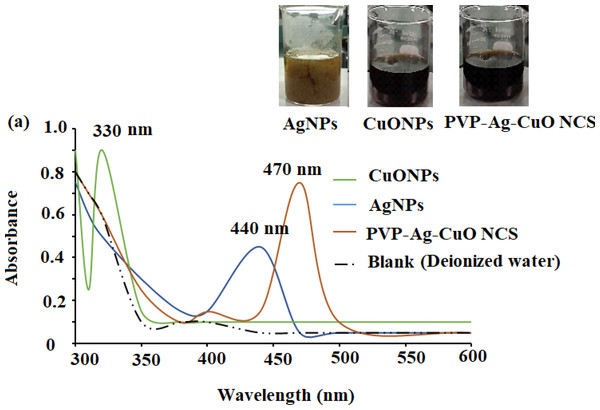 UV-Vis spectra of CuONPs (350 nm), AgNPs (440 nm), and polymeric PVP-Ag/CuO nanocomposite (470 nm).