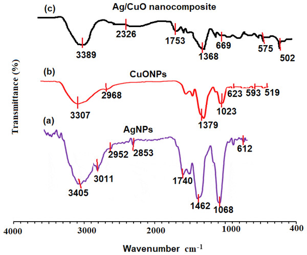 FT-IR spectra of (A) AgNPs, (B) CuONPs, (C) polymeric PVP-Ag/CuO nanocomposite, and (d) seaweed extract measured at 4000–400 cm−1.