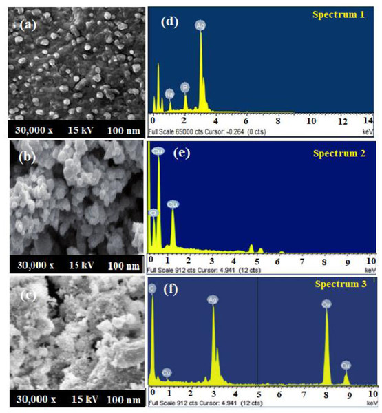(A–C) SEM spectra and (D–F) EDX AgNPs, CuONPs, and polymeric PVP-Ag/CuO nanocomposite.