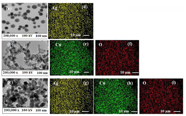 (A–C) TEM images and (D–I) elemental mapping of AgNPs, CuONPs, and polymeric PVP-Ag/CuO nanocomposite.