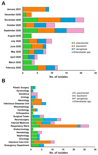 Distribution of Gram-negative bacteria causing bacteremia during February 2020 to January 2021.