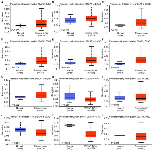 DNA methylation levels of DLAT in tumor analyzed using the UALCAN tool.