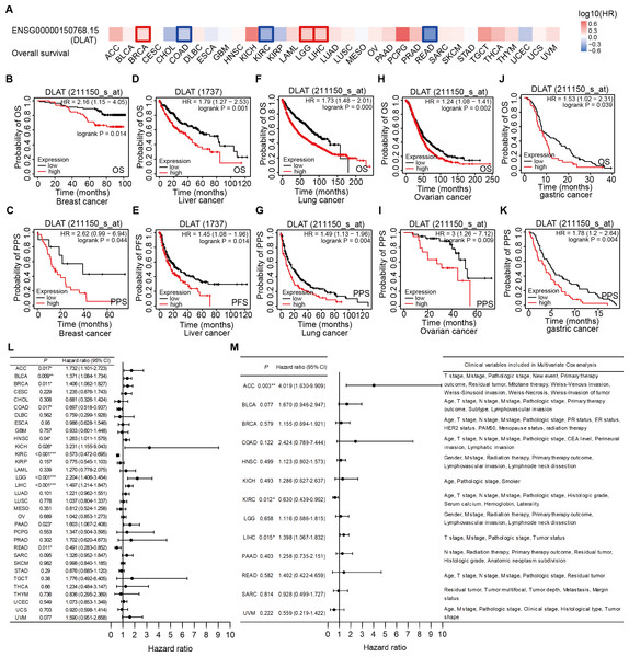 Correlation analysis of DLAT expression level and clinical prognosis in different tumors.