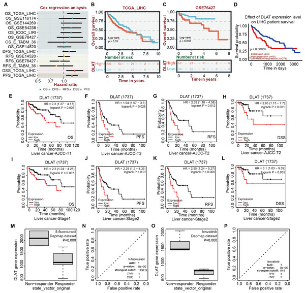 Correlation analysis of DLAT expression level, clinical prognosis and chemotherapeutic resistance in LIHC.