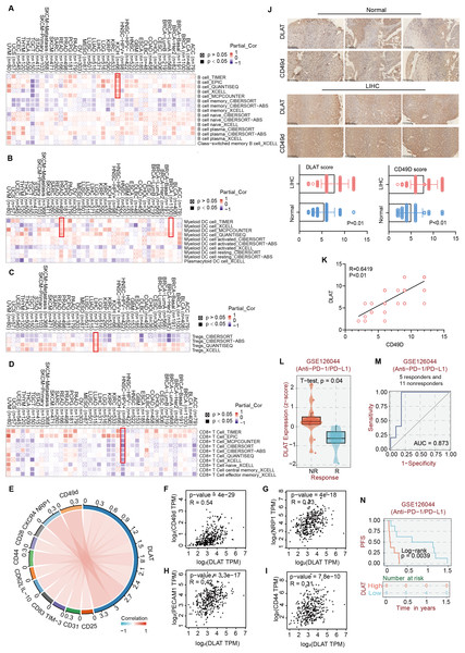 The effects of DLAT on Tregs in LIHC.