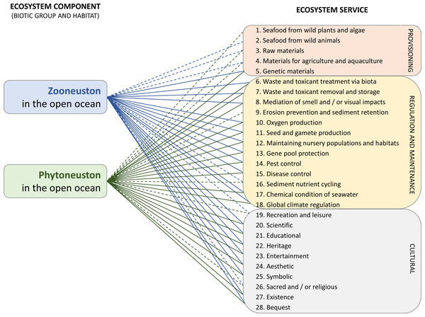 Ecosystem services (ecological and societal benefits of neuston) provided by the neuston considered in this study.