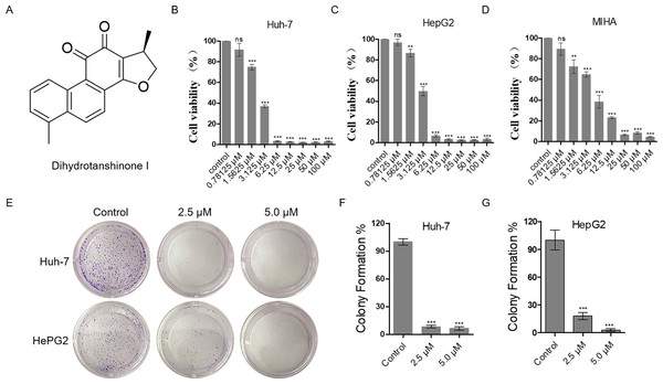 Dihydrotanshinone I inhibits the proliferation of HCC cells.