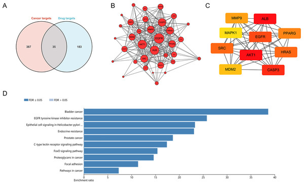 Identification of potential targets of dihydrotanshinone I against HCC.