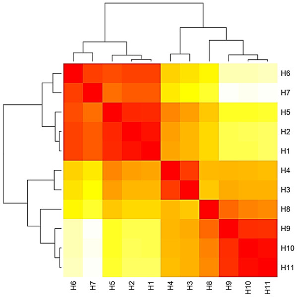 Heat map based on the number of nucleotide differences between the haplotypes.