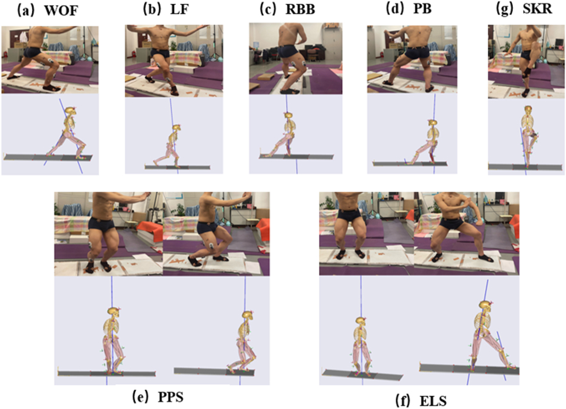 Newly compiled Tai Chi (Bafa Wubu) promotes lower extremity exercise: a  preliminary cross sectional study [PeerJ]