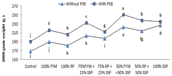 Integrated effect of PSB and P sources on 1,000 grain weight of maize.