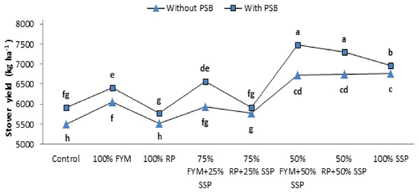 Interactive effect of PSB and P sources on stover yield (kg ha−1) of maize.