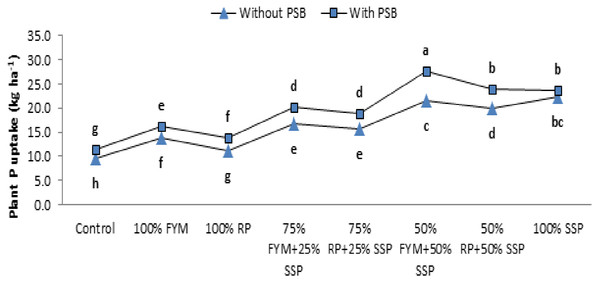 Interactive effect of PSB and P sources on plant P uptake (kg ha−1) of maize.