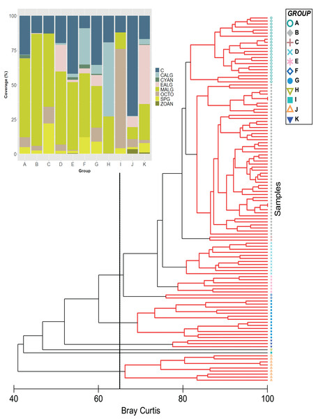 Classification analysis of the benthic community of Quitasueño.