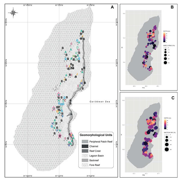 Spatialized data of the benthic community of Quitasueño.