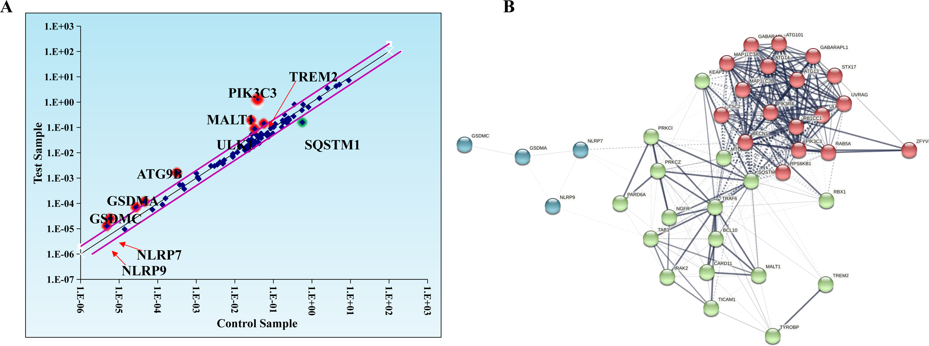 Ferroptosis-dependent Breast Cancer Cell-derived Exosomes Inhibit ...