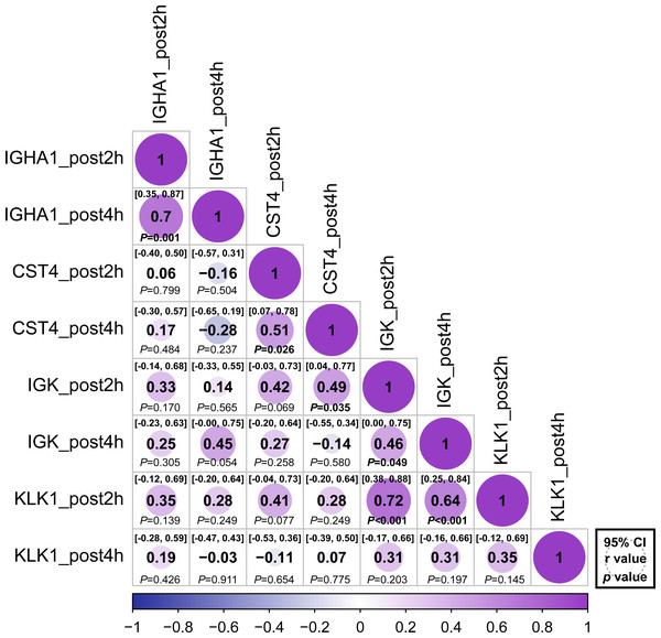 Correlation matrix of different expression protein.
