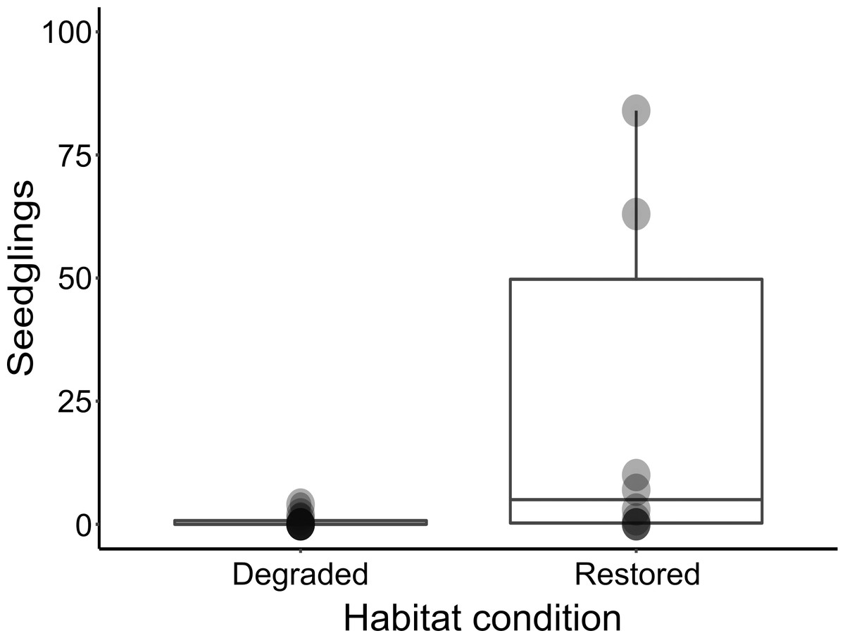 Regeneration dynamics of Portulacaria afra in restored succulent thicket of  South Africa [PeerJ]