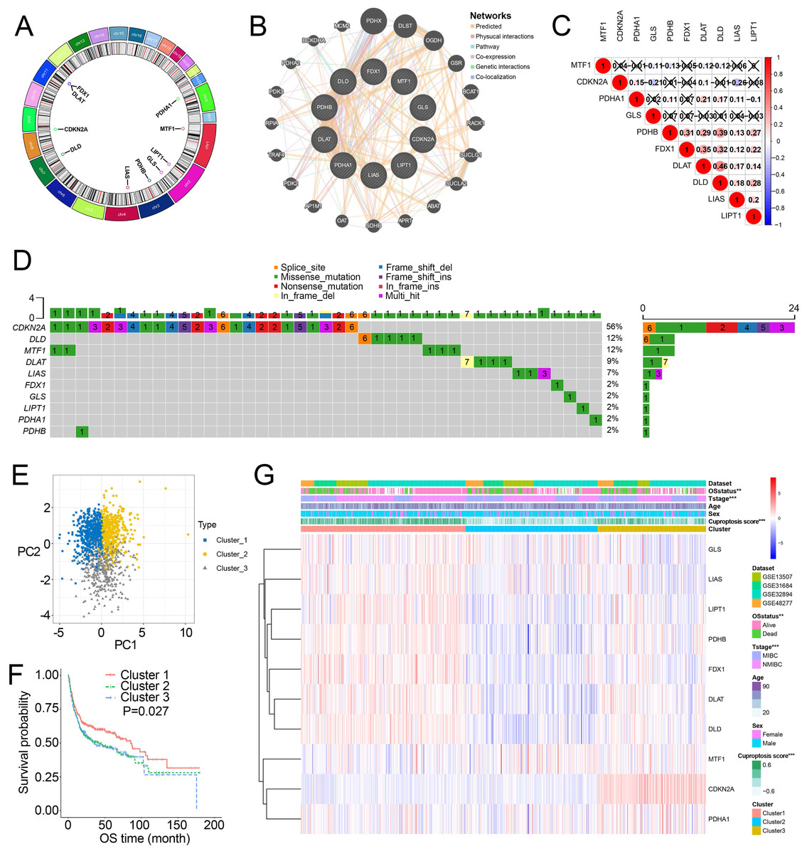 Molecular Subtypes, Tumor Microenvironment Infiltration ...