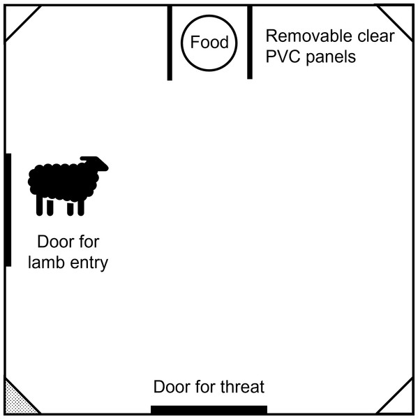 Schematic diagram of the test arena used during the pilot trial.