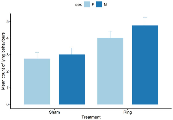 Mean count of all lying behaviours observed for male and female lambs within the Sham and Ring treatment groups in the 45 min post tail docking.