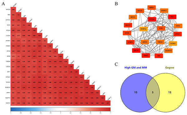 Identification of Hub gene.