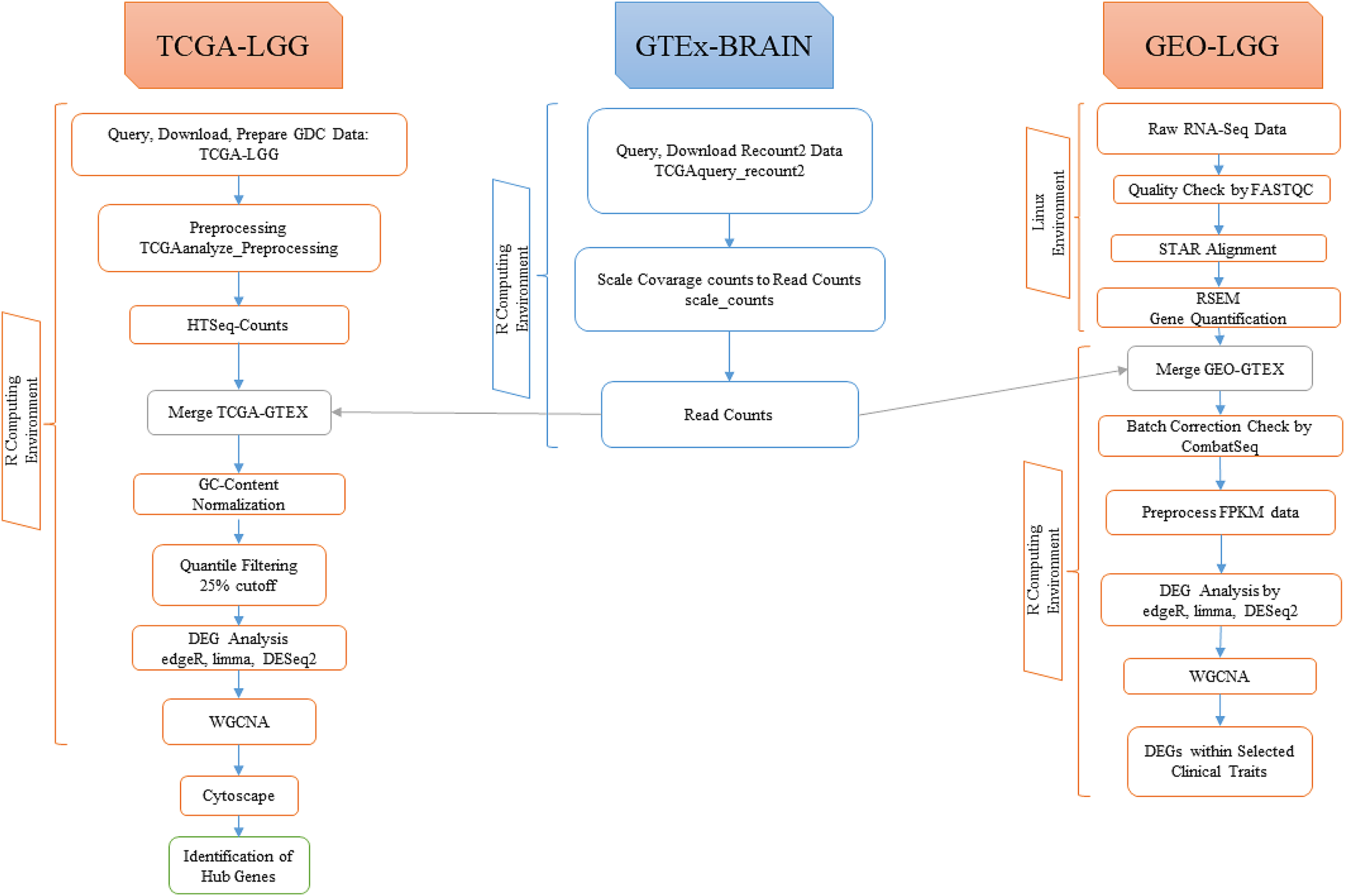 An in silico approach to the identification of diagnostic and