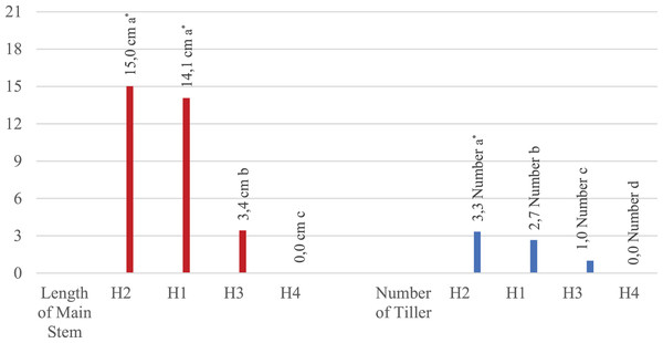 Effect of hydrogel and irrigation interactions on main stem length (centimeter-cm) and number of tillers (Number) *significant at p < 0.001, all analyses were performed via three replicates.