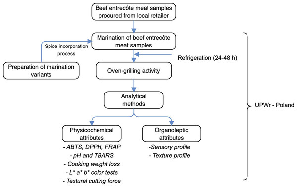 The schematic overview of the experimental program, showing the key stages, from the procurement of beef entrecôte meat samples, preparation of marinade variants, through oven-grilling activity, subsequently analytical measurements.