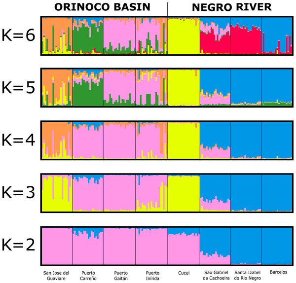 Bayesian assignment for each individual of Paracheirodon axelrodi inferred by the software Structure from K = 2 to K = 6, using eight microsatellite loci.