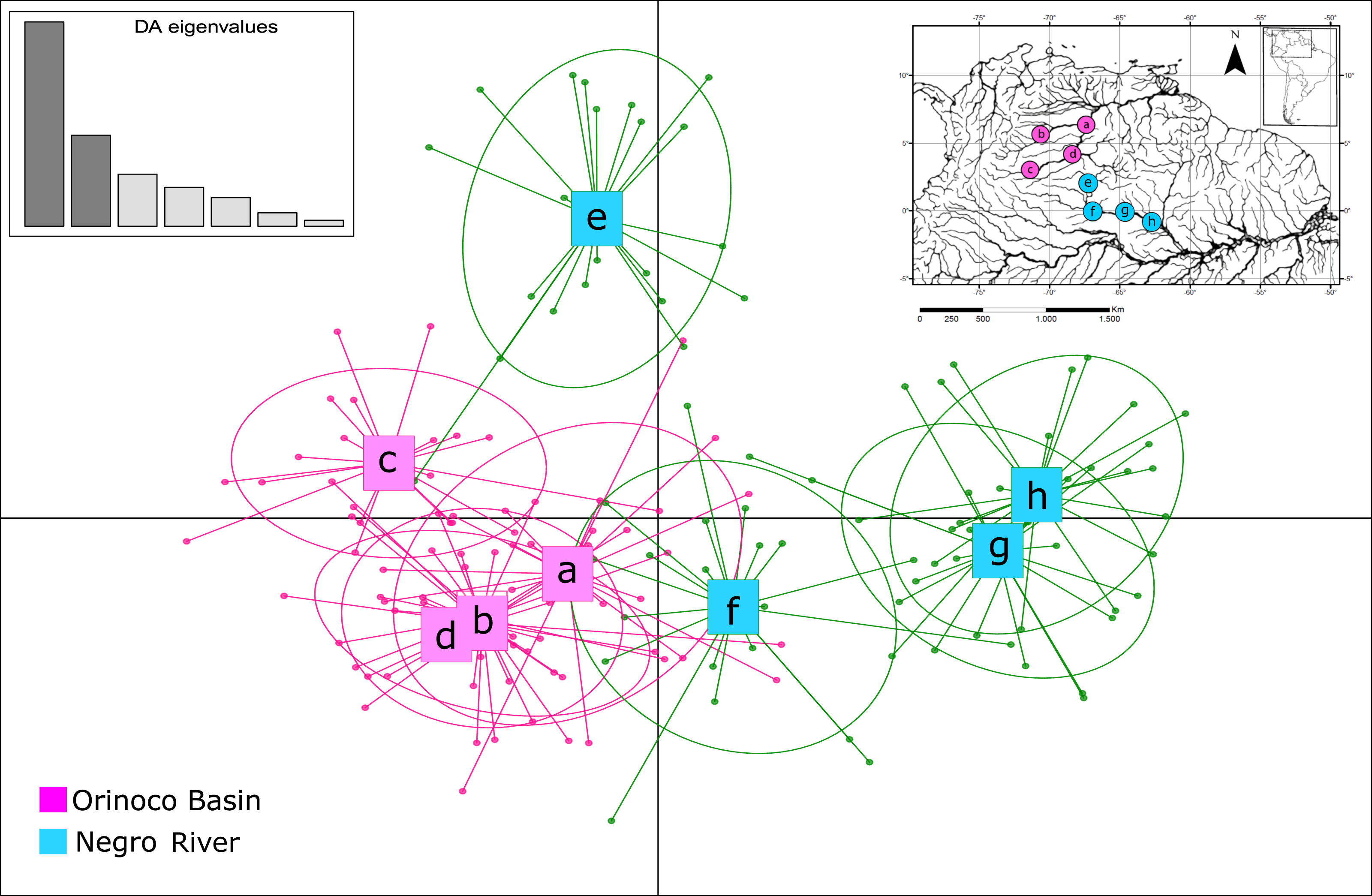 Ecological animal geography; an authorized, rewritten edition based on  Tiergeographie auf ockologischer grundlage. Zoogeography -- Geographical  distribution; Animal ecology. Fig. 50.—Reef fishes with teeth fused into a  beak: a, Diodon hystrix