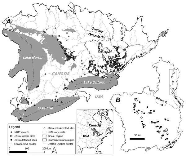 Study area, observational occurrences and eDNA sampling sites.