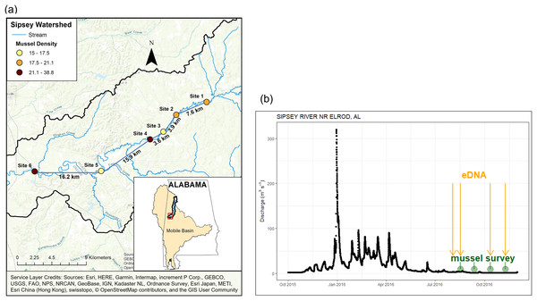 Location and discharge parameters of six study sites along Sipsey River, Alabama USA.