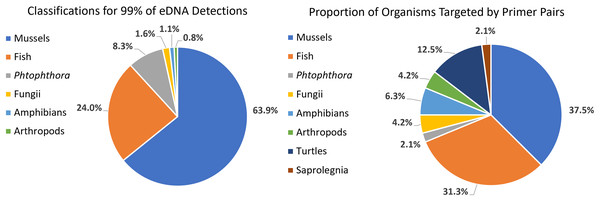 Targeting strategy impact on biodiversity capture from eDNA metabarcoding from samples collected on six sites along the Sipsey River, Alabama, USA.