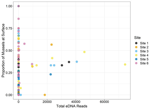 The location of mussels within the substrate, or proportion of mussels at the surface as recorded by traditional surveys, is compared to the total eDNA reads per species across six sampling locations in the Sipsey River, Alabama, USA.