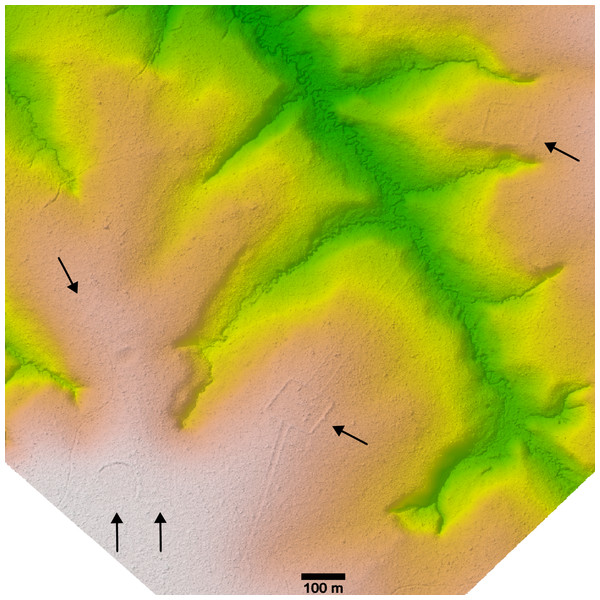 Example of a geoglyph complex discovered in LiDAR data (publicly available at https://daac.ornl.gov/CMS/guides/LiDAR_Forest_Inventory_Brazil.html) and processed using the lidR package in R.