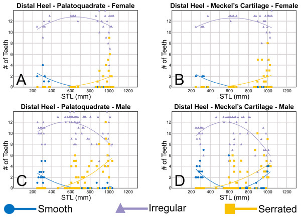 (A–D) Plots and polynomial trends of the nature of the cutting edge on the distal heel on female and male Rhizoprionodon terraenovae teeth through ontogeny on the Meckel’s cartilage and palatoquadrate.