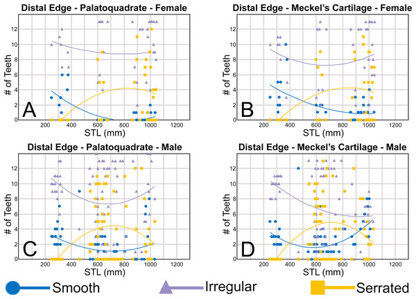 (A–D) Plots and polynomial trends of the nature of the distal cutting edge on female and male Rhizoprionodon terraenovae teeth through ontogeny on the Meckel’s cartilage and palatoquadrate.