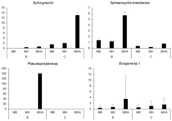 Abundance of the four most abundant polychaete species associated with Mussismilia species at Caramuanas and Boipeba reefs.