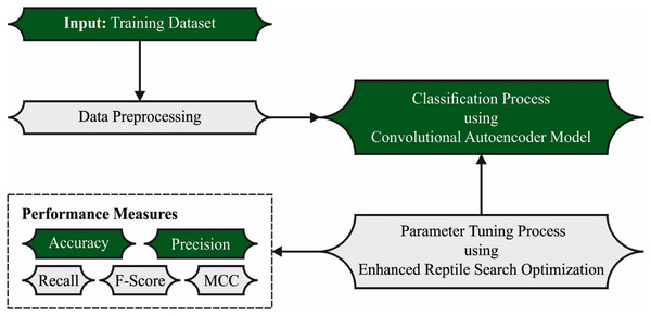Overall process of ERSOCAE-SNC approach.