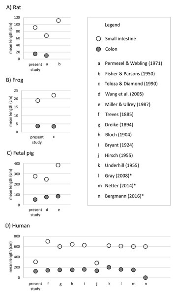 Mean length (in cm) of small intestine, cecum, and colon in (A) rats (Rattus norvegicus), (B) frogs (Lithobates catesbeianus), (C) fetal pigs (Sus scrofa), and (D) humans (Homo sapiens).