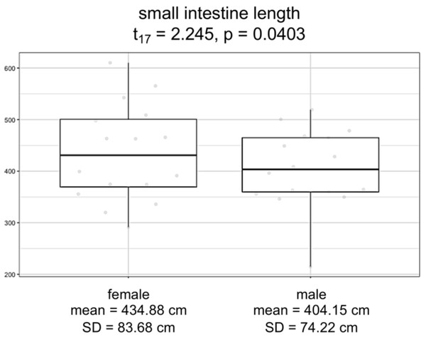 Boxplots by sex for small intestine length, in centimeters.