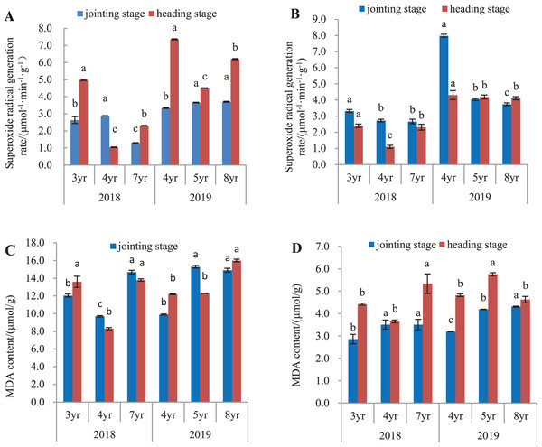 Superoxide anion radical generation rate and MDA concentration in leaves and roots at the jointing and heading stages in 2018 and 2019 of Elymus sibiricus.
