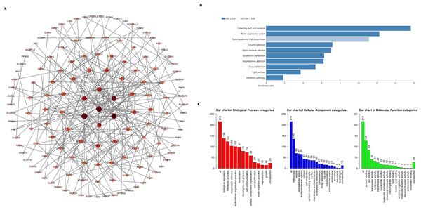 PPI network and the functional enrichment analysis of SIRT family members.
