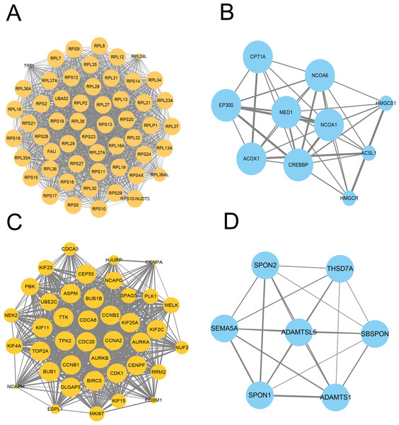 Protein–protein interaction (PPI) network of gene signature.