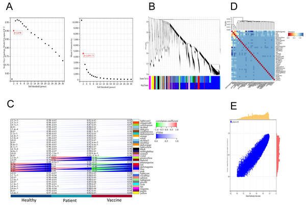 WGCNA of DEGs revealed the gene-network modules.