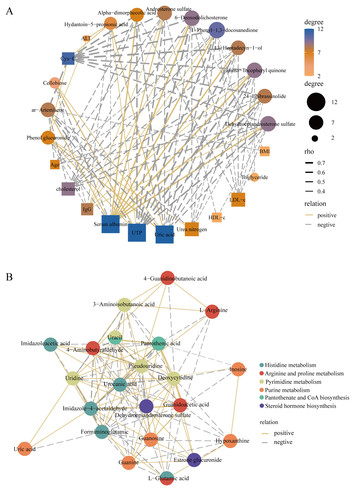 Serum Metabolomics Analysis Reveals Metabolite Profile And Key ...