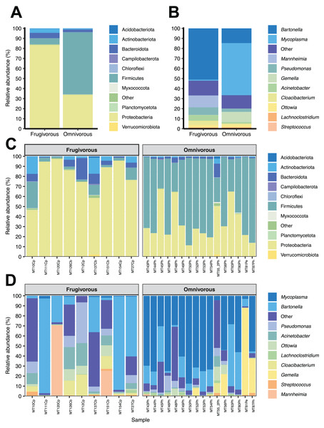 Composition of microbial communities in blood samples of omnivorous and friguivorous bats (Chiroptera: Phyllostomidae).