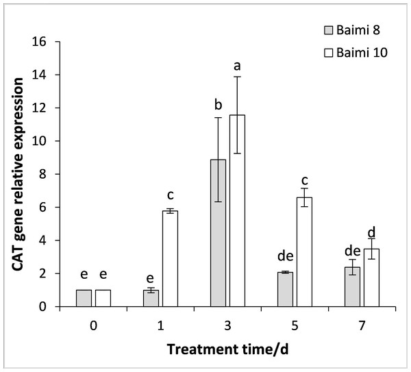 Response of gene expression of catalase (CAT) to waterlogging stress in pumpkin leaves.